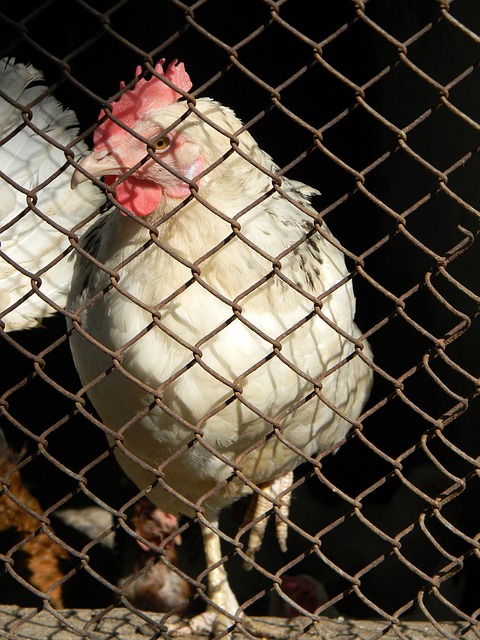 在上賽季對 在上賽季對