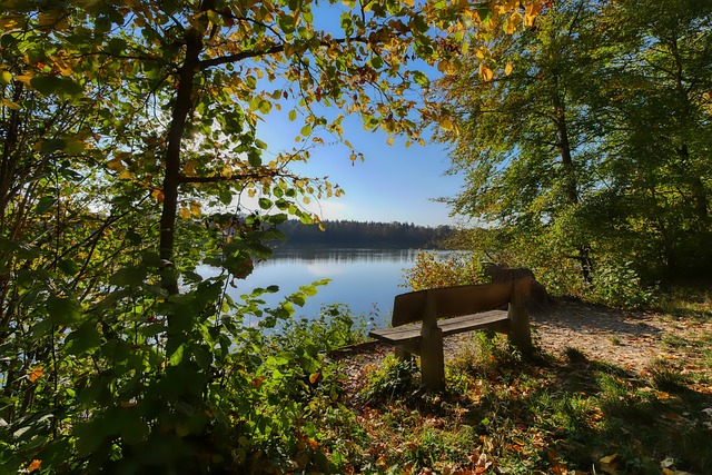 更为武汉这 更为武汉这