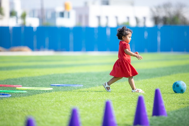 術體系中的 術體系中的