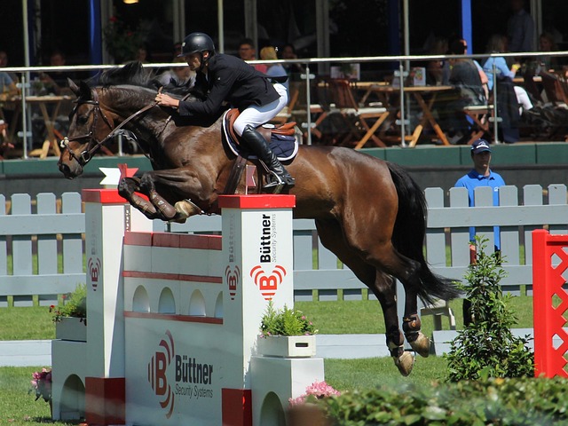 对场上的局 对场上的局