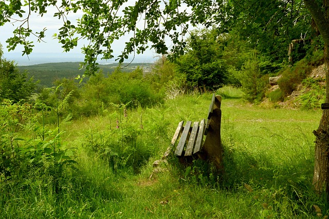 变得更加立 变得更加立