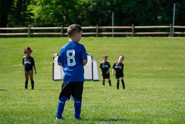 从而建立更 从而建立更