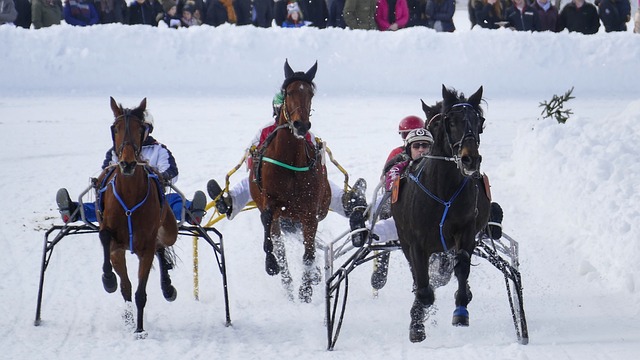 背后付出的 背后付出的